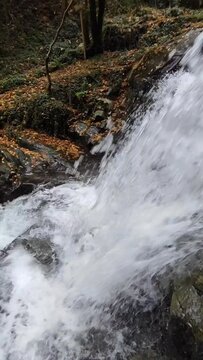 Waterfall in the forest in autumn, vertical real time.