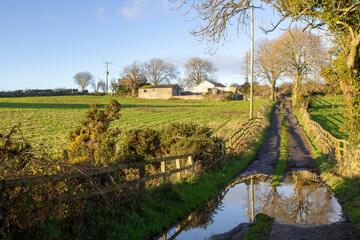 Obraz premium Dec 2022 Soft winter sunlight on a flooded farm lane leading to a local farm yard and family home near Dundonald in County Down Northern Ireland