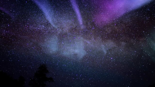 Aurora Purple and MilkyWay  Galaxy Time Lapse Over Forest Tilt Up