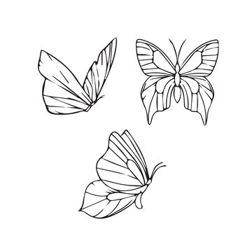set of three beautiful butterfly vector one line art illustration