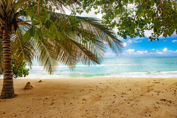 Obraz na płótnie Canvas guadeloupe island caribbean beach and sun in atlantic ocean