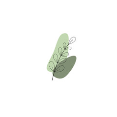 Minimal green leaf on white background