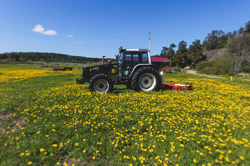 Fototapeta premium Tractor with a disc harrow system on the cultivated farm field, process of harrowing and preparing the soil, tractor seeding crops at field, agriculture concept, harrow machine at work