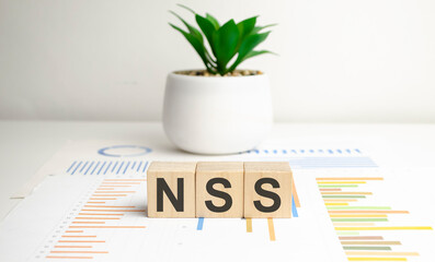 wooden blocks with text NSS Network Security Services on a chart background and green plant