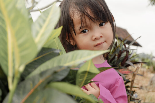 Asian Child Shy Behind The Leaves