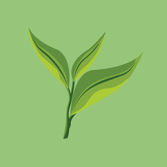 tea leaves green flat color design