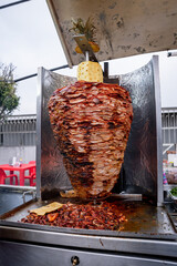 mexican al pastor style meat log