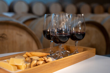 Rioja red dry wine tasting with traditional Spanish tapas during visit of winery in Rioja Alavesa wine production region, Spain