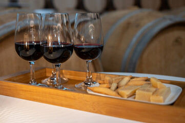 Rioja red dry wine tasting with traditional Spanish tapas during visit of winery in Rioja Alavesa wine production region, Spain