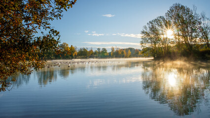 Fototapeta na wymiar Lever de soleil sur l'étang du parc de la Lére 