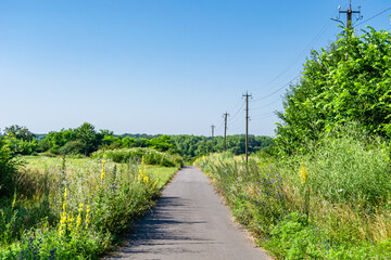 Fototapeta premium Beautiful empty asphalt road in countryside on colored background