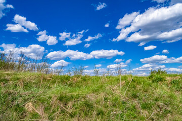 Beautiful horizon scenery in village meadow on color natural background