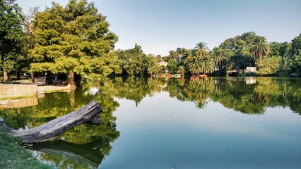Fototapeta premium Lake with palm trees, island with vegetation, blue sky