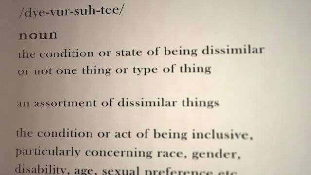Diversity Definition