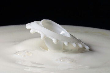 Fototapeta na wymiar Milk drop splash