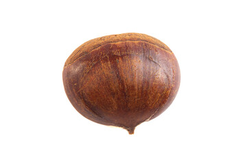 A Single Raw and Whole Chestnut Isolated on a White Background