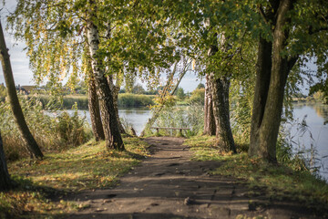 This will all be yours, son. Shot of a man taking his son for a walk out on an open forest