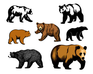 Bear Illustration Set, Bear Vector Cartoons