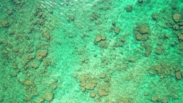 Crystal-clear waters shows the of many dead corals on the seafloor. Degraded marine ecosystems, caused by Tsunami in 2004 and global warming. Tropical sea, Phang Nga, Thailand. nature background. 4K
