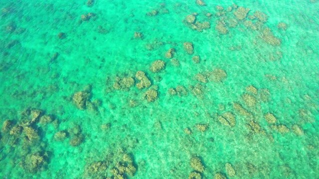Crystal-clear waters shows the of many dead corals on the seafloor. Degraded marine ecosystems, caused by Tsunami in 2004 and global warming. Tropical sea, Phang Nga, Thailand. nature background. 4K
