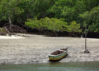 canoe moored on the sand on the banks of a river in front of a forest of green trees