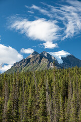 Fototapeta premium Mountain and forest in Banff NP Canada