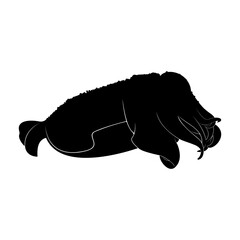 Silhouette of a yellow squid on a white background