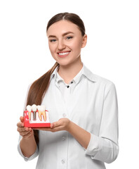 Dentist holding educational model of dental implant on white background