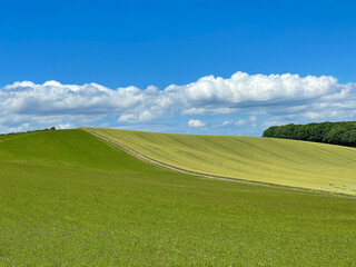 field and blue sky