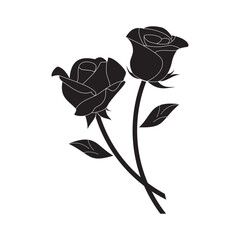 luxurious black and white roses, suitable for use in all fields related to nature, especially plants