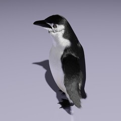 3d computer-rendered illustration of penguins.