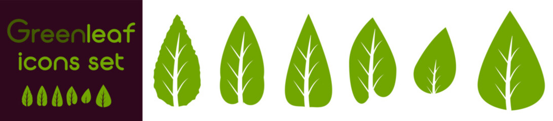 Green leaf icons set. Leafs green color icon logo. Green leaf nature element. Leaf green collection.