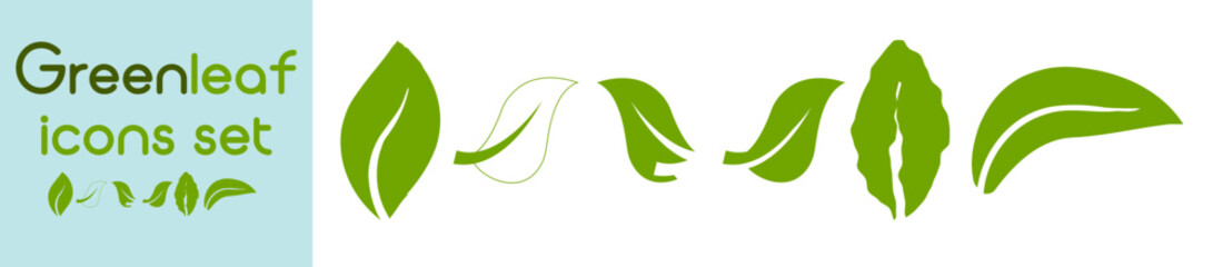 Naklejka premium Green leaf icons set. Leafs green color icon logo. Green leaf nature element. Leaf green collection.