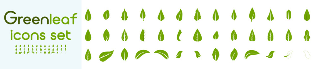 Green leaf icons set. Leafs green color icon logo. Green leaf nature element. Leaf green collection.