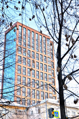 A multi-storey residential building behind the branches of trees on a winter day