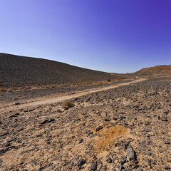 Nature of the Middle East.