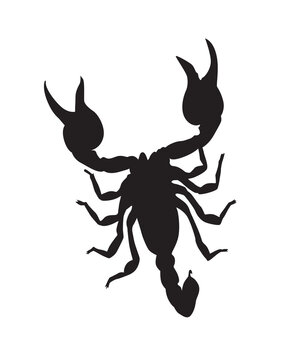 Scorpion silhouette vector isolated on white. 