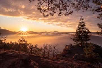 Naklejka premium Sunrise on a winter morning in the Palatinate Forest