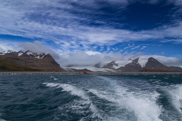Salisbury Plain lies on the north coast of South Georgia and offers a spectacular wildlife experience including large king penguin.