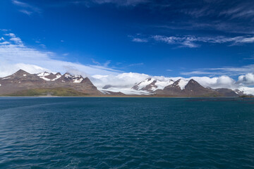 Salisbury Plain lies on the north coast of South Georgia and offers a spectacular wildlife experience including large king penguin.