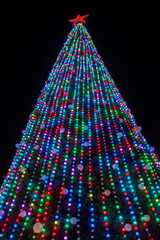 Big christmas tree decorated with colorful lights