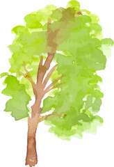 Green tree with leaves. Hand drawn watercolor painting. Colorful splashing in the paper.It is wet texture with paint brushes