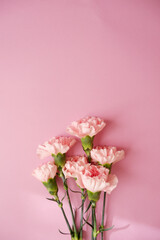Beautiful pink Carnation flowers composition on pink background. Mother's day, Women's day, wedding and bridal concept floral background.