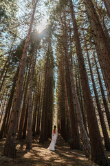 A girl in a white dress and a long braid travels alone through the forest of tall Sequoiadendron giganteum, rising into the sky on a sunny day