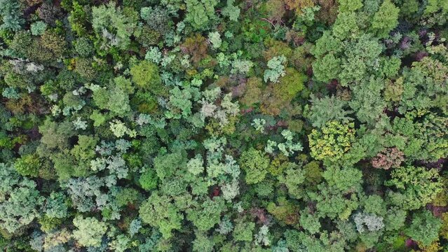 [korea drone footage] Seoul city landscape, Itaewon, Namsan Tower, Landmark