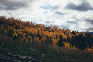 Ukrainian Carpathian Mountains During Fall