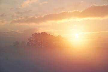 Foggy sunset in the field. Amazing nature landscape during a misty sunrise morning. Sunbeams lights through the trees.