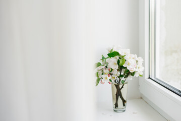 Bouquet of branches of a blooming apple tree stand in a glass vase on the window