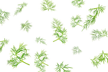Falling dill isolated on white background