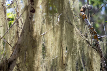 Galapagos Islands, Ecuador. Animals and nature of this fantastic holiday destinatuion.